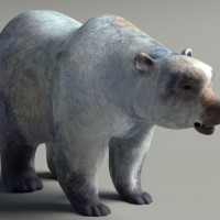 The Hunt – Texturing the bear