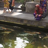 The Colours of Bali – 2